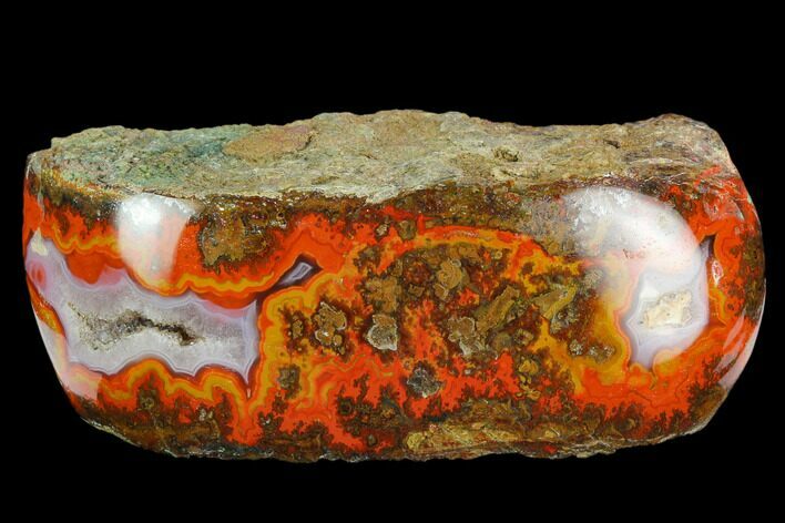 4.2" Polished Plume Agate Section - Karouchen, Morocco